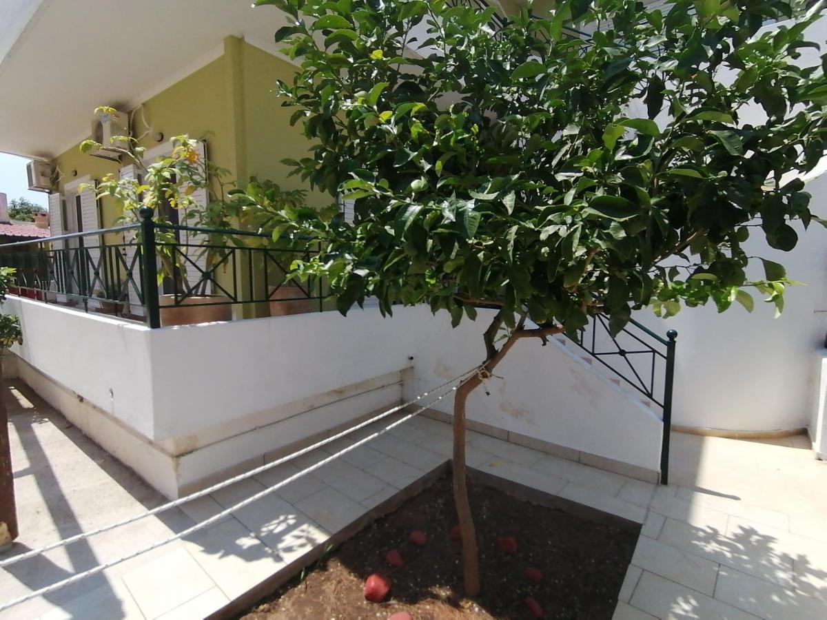 Vicky'S Place,Near Athens Airport Koropíon Dış mekan fotoğraf